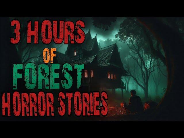 SCARY FOREST STORIES | PARK RANGER, SKINWALKER, DOGMAN, DEEP WOODS, CRYPTIDS