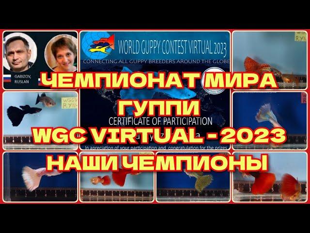 ЧЕМПИОНАТ МИРА ГУППИ 2023 / WORLD GUPPY CONTEST VIRTUAL 2023 / НАШИ ЧЕМПИОНЫ и ПРИЗЕРЫ.