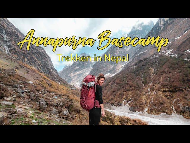 Der BESTE TREK in NEPAL für ANFÄNGER - Guide zum Annapurna Basecamp l Route • Ausrüstung • Kosten