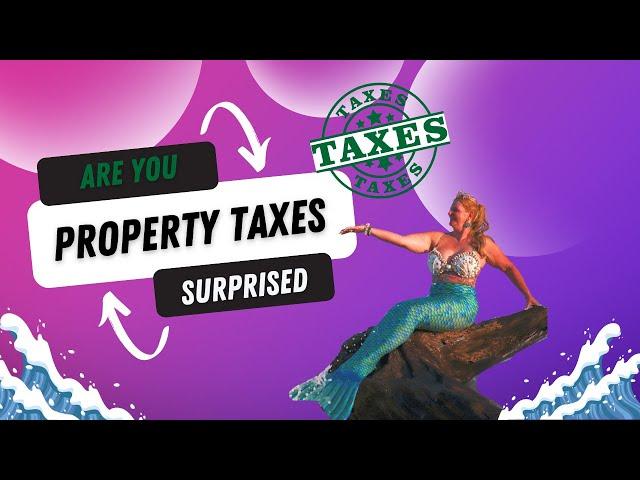 Maximize Your Property Tax Savings Florida: Homestead Exemption and Portability with Tamela Staubs