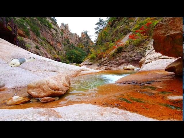 음악하는 황지원, 일상이 여행 Everyday travel-일상이 (자작곡)