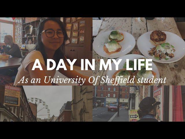 A Day In My Life as a University Of Sheffield Student 