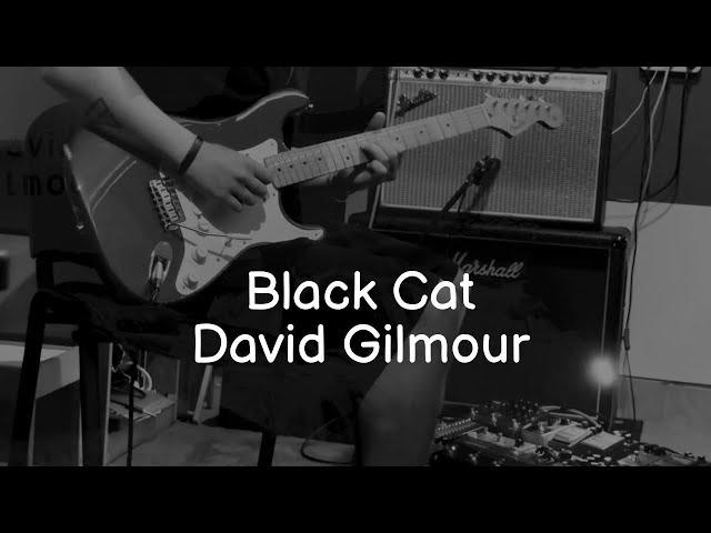 BLACK CAT - David Gilmour (Luck and Strange NEW Album)