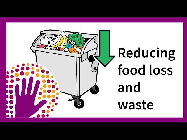 Reducing food loss and waste