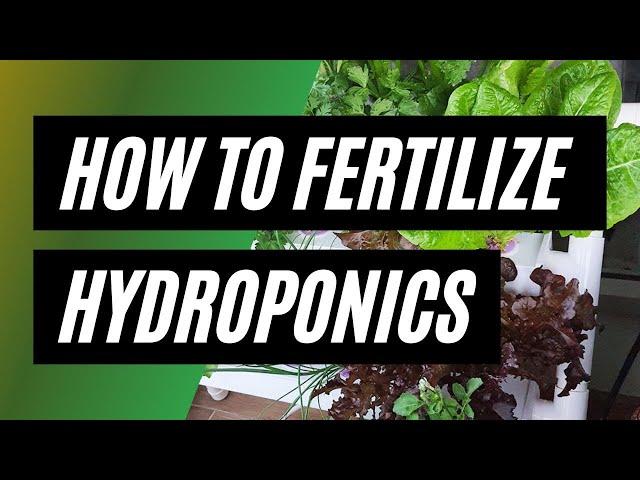 How to Fertilize Hydroponic Plants - Chapter 5