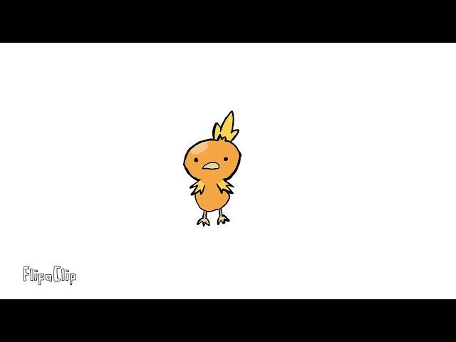 Torchic Evolves