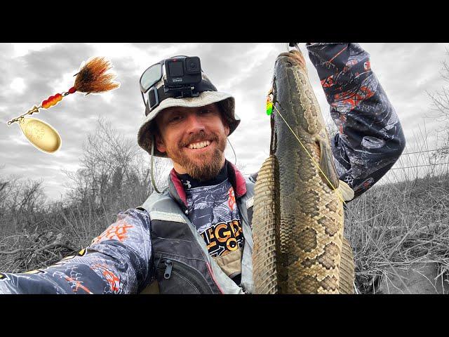 The BEST LURE for Early Season Snakehead; Spring Snakehead Fishing in Maryland