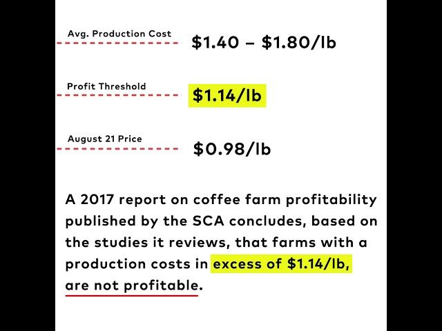 Coffee Price Crisis