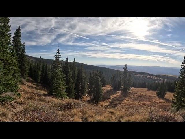 Elk Hunting in Colorado 24#garbagebear13 #chadsaul #colorado #coloradolife