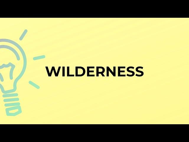 What is the meaning of the word WILDERNESS?