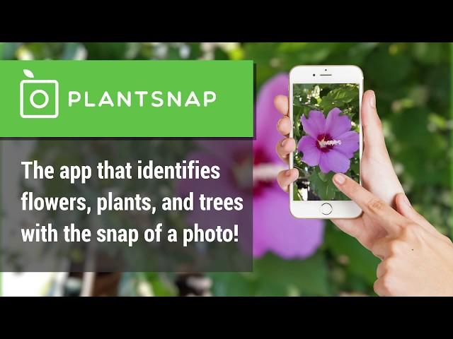 PlantSnap - App Preview for Google Play