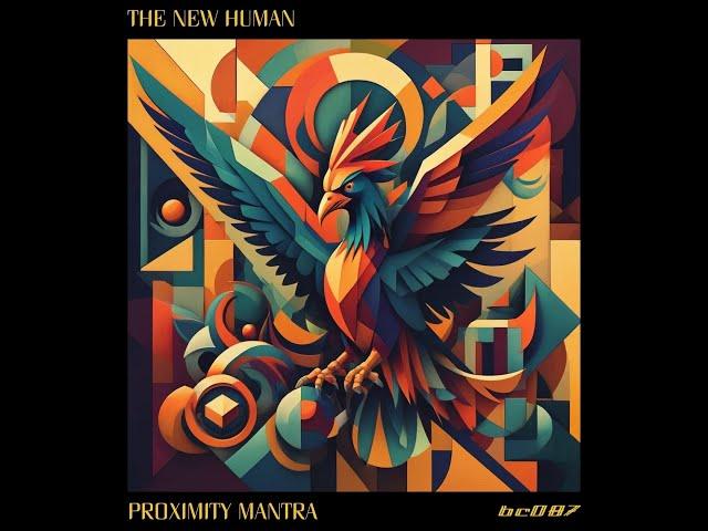 The New Human -- Thought Patterns