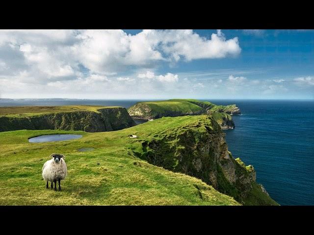 instrumental Irish Harp Music