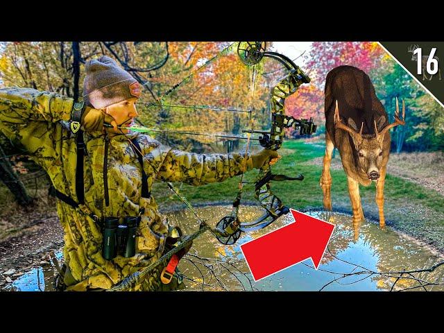 SHOTS FIRED! Bow Hunting Wisconsin Water Hole