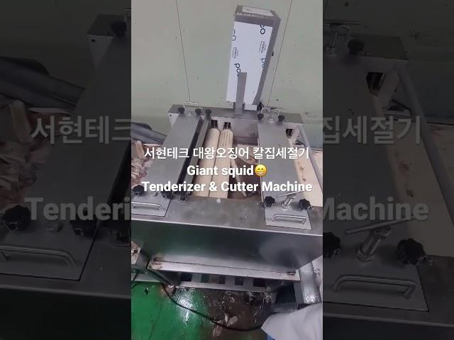 서현테크SEOHYEON TECH 대왕오징어 칼집세절기Giant squidTenderizer & Cutter Machine
