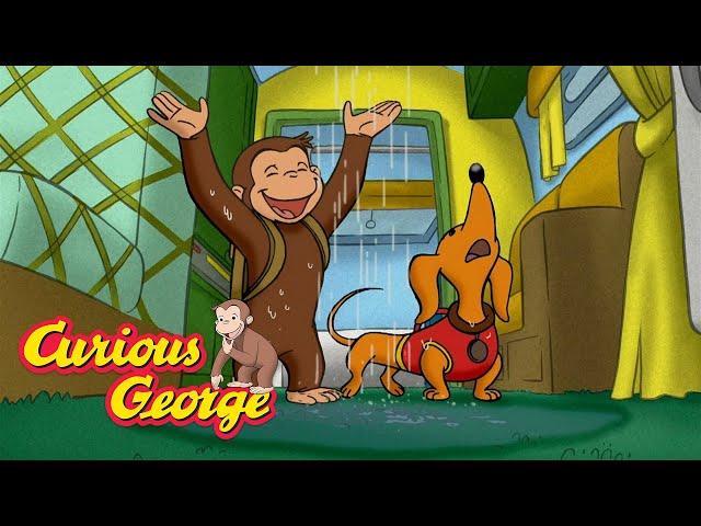 The Flooded Camping Trip  Curious George  Kids Cartoon  Kids Movies