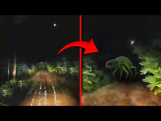 30 Terrifying Creatures that You Must See To Believe!!