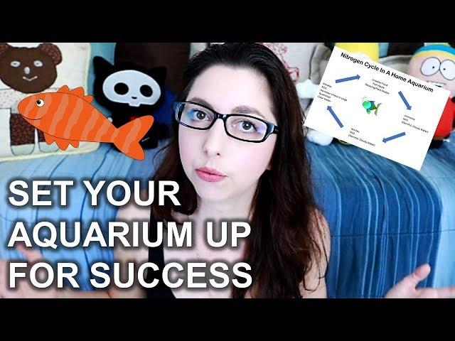 How To Cycle Your Aquarium | The Nitrogen Cycle | Setting Up Your Fish Tank