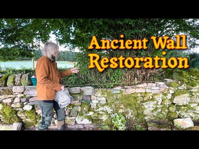 Ancient Wall Restored! + Creating a Secret Entrance! - Country House Renovation Rural Scotland