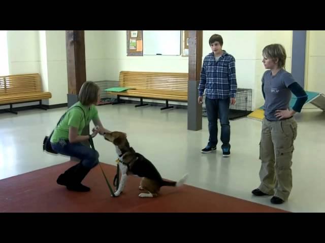 Richmond SPCA Junior Dog Trainers Program Video