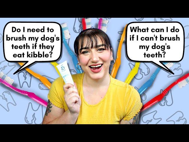 Pet Nutritionist Answers Your Dog Dental Health Questions