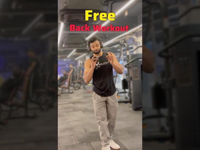 Free back workout ️