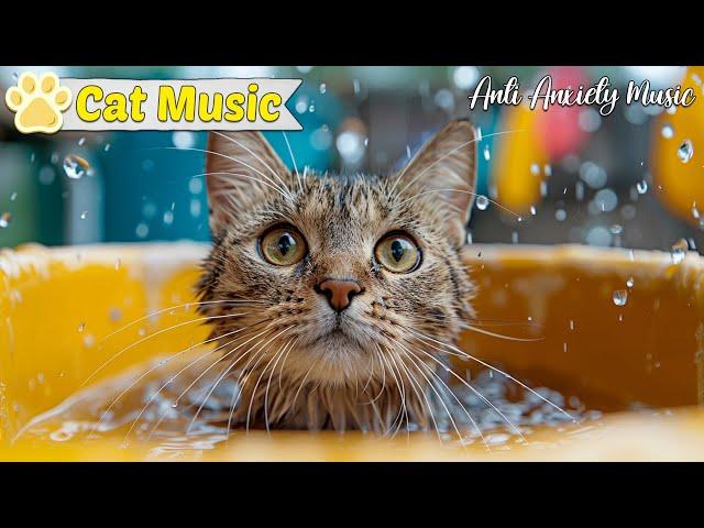 Music to Calm Your Cat - Relaxing Tunes for Feline Comfort - Soothing Cat Therapy Music