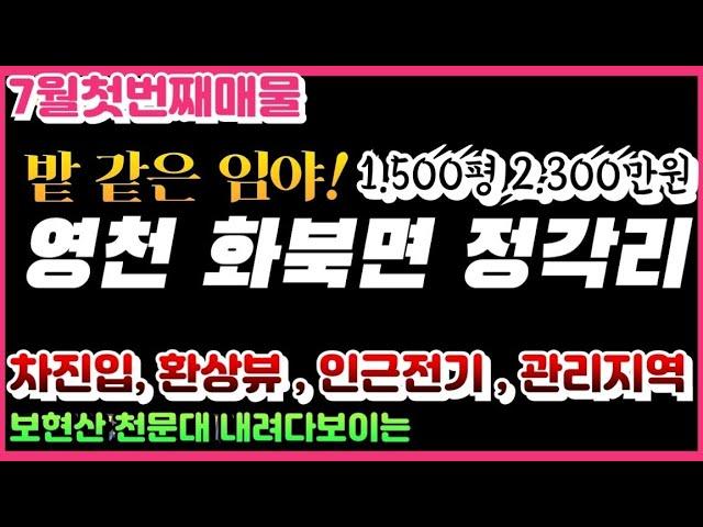 싼게 비지떡? 아닙니다 환상뷰 임야 이건 너무 싸다 보전관리지역 임야 경사도10-15도  영천임야 자연인땅매매 싼땅