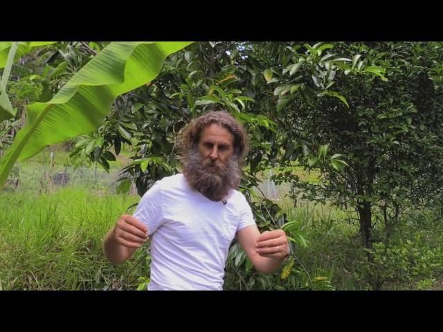 How To: Grassland to a Permaculture Food Forest Paradise.  Ian Trew Noosa Australia. PDC 2024 Course