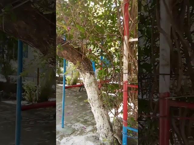 Visited My School Today