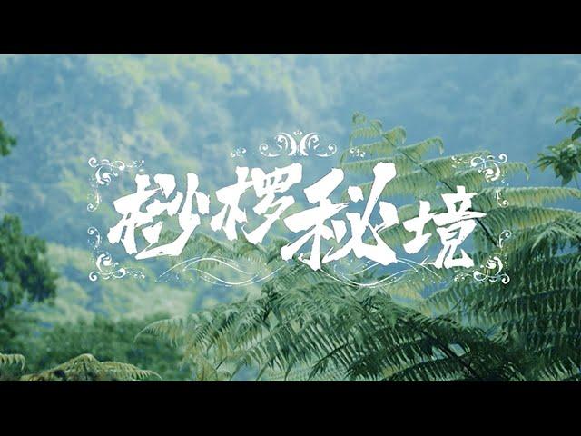 《桫椤秘境》【神秘蜀韵 百部川扬】