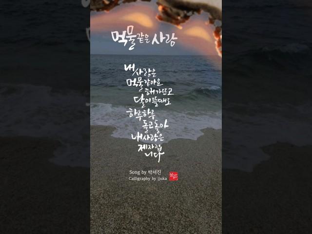 박서진 먹물같은사랑 캘리그라피