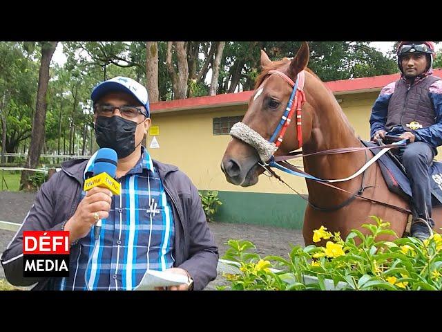 Hippisme - Bonjour Floréal : un Million Dollar Man débordant d’énergie