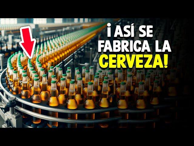 ¿Cómo Se Hace La Cerveza? [Proceso En Fábrica]