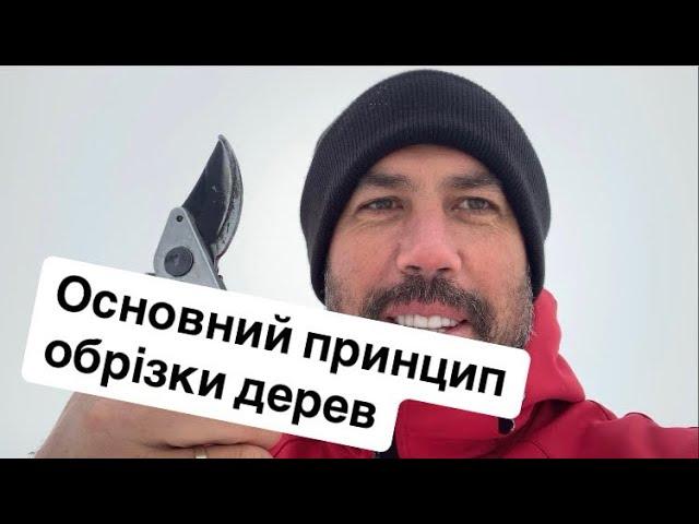 Основний принцип обрізки дерев