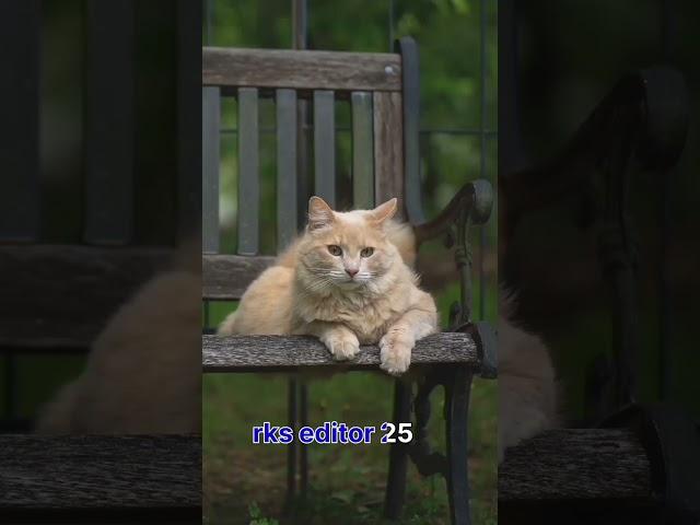 Lightroom photo editing || Rks editor 25 ||#photo #viralshorts #shorts #lightroomediting #lightro