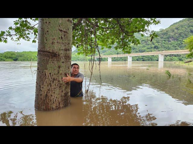 alerta roja río Lempa se desborda  y chungo queda atrapado en la creciente !! Por el huracan sara 