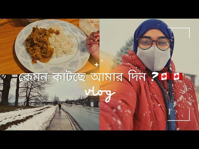 কেমন কাটছে কানাডায় আমাদের দিন || Life in Canada || Moncton