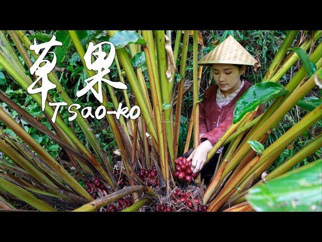 "Spices of Four Seasons" The magical spice that takes 3 years to harvest - Tsao-ko