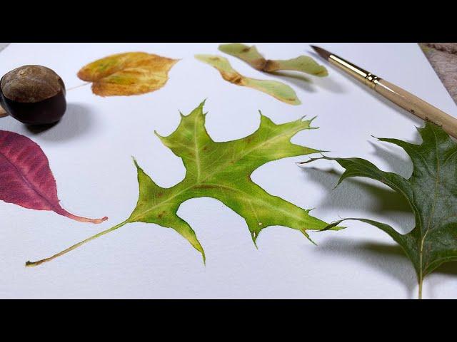 How to paint a leaf in watercolorTutorial step by step  #watercolorbotanicals