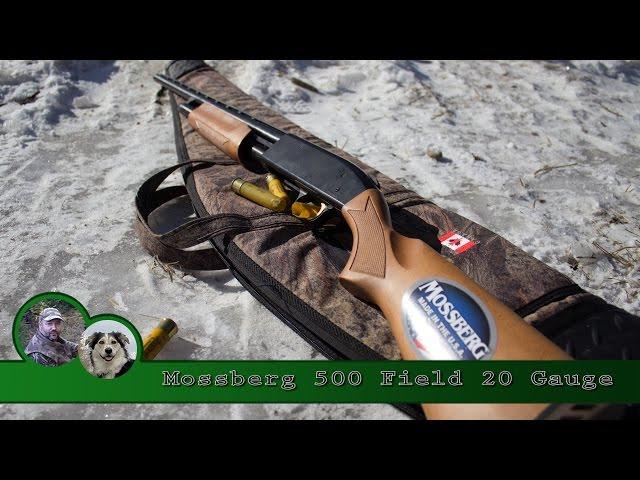 Mossberg 500 Field Pump Shotgun Review and Patterning