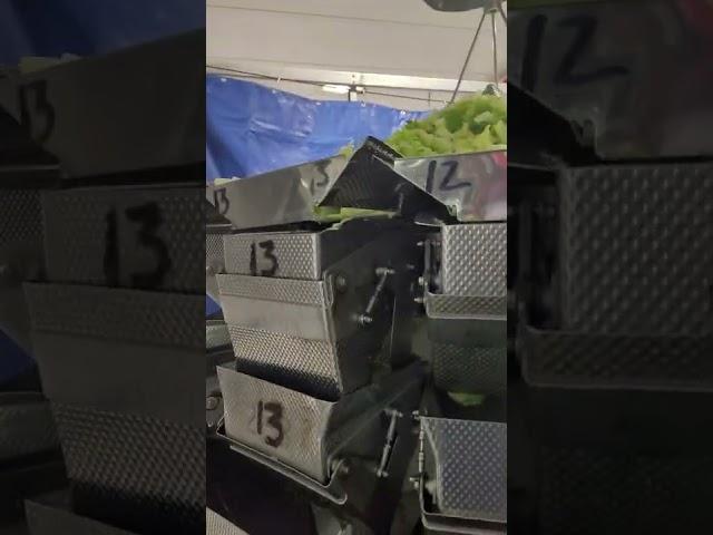 Yamato Scale