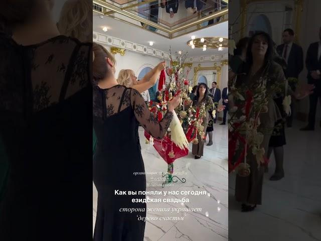 Езидская свадьба в Москве // Dawata ezdia in Moscow