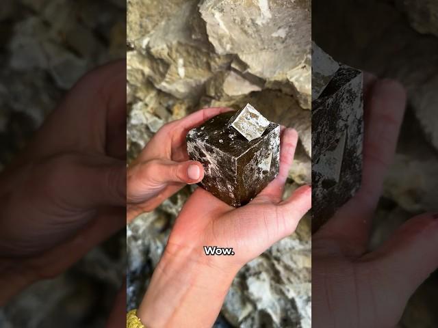 Digging Up a Big Pyrite Crystal in Spain