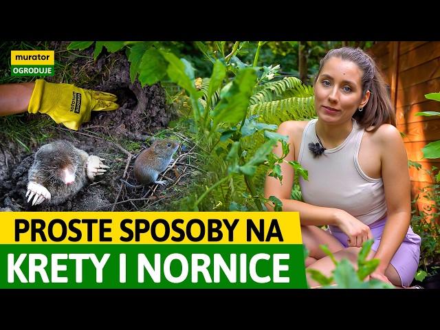 PROSTE SPOSOBY NA NIEPROSZONYCH GOŚCI W OGRODZIE! | Murator Ogroduje