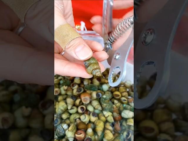 Tool Trove - Love snails? Try this Snail Cutter—quick and clean!#shorts #youtubeshorts #short