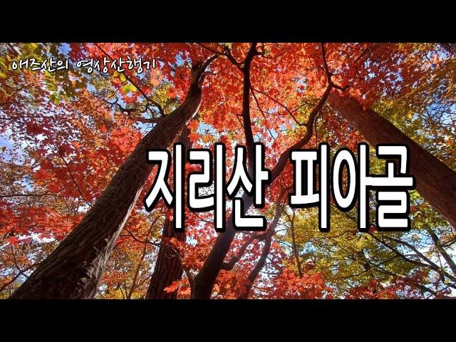 지리산/피아골 불붙은 단풍