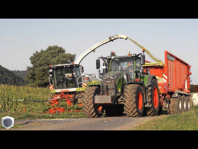  Maishäckseln 2024 mit CLAAS Jaguar 940 und FENDT Schleppern | LU Scheja [4K]