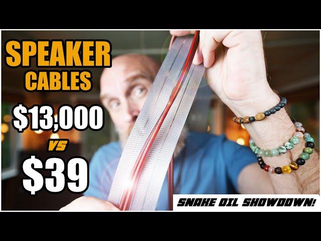 Exotic $13k Speaker Cables from 2001 vs 2024 $39 Amazon Specials... WHOA!