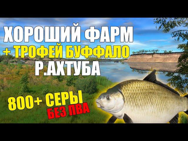 800+ Серы в час! Река Ахтуба | Трофейный буффало | Лучшая точка для фарма серебра, русская рыбалка 4